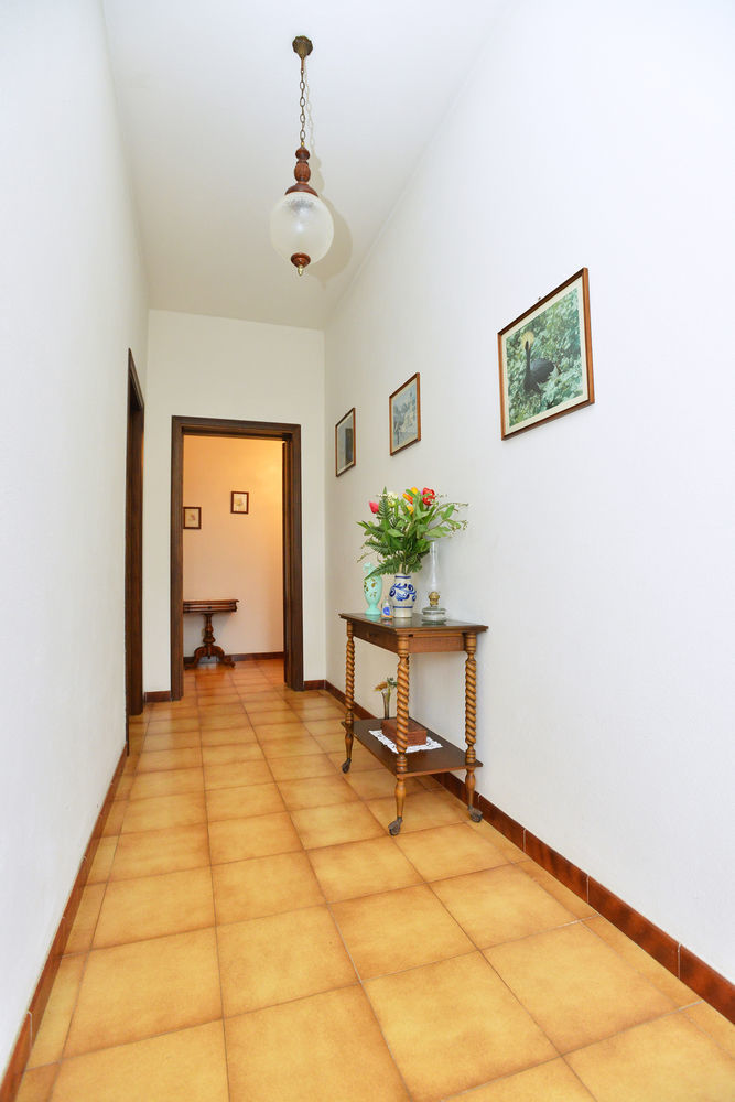 Izzhome Cozy Sunflowers 普拉 外观 照片